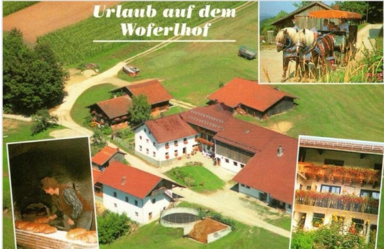 Woferlhof, Ferienhof Boxhorn Böbrach 外观 照片