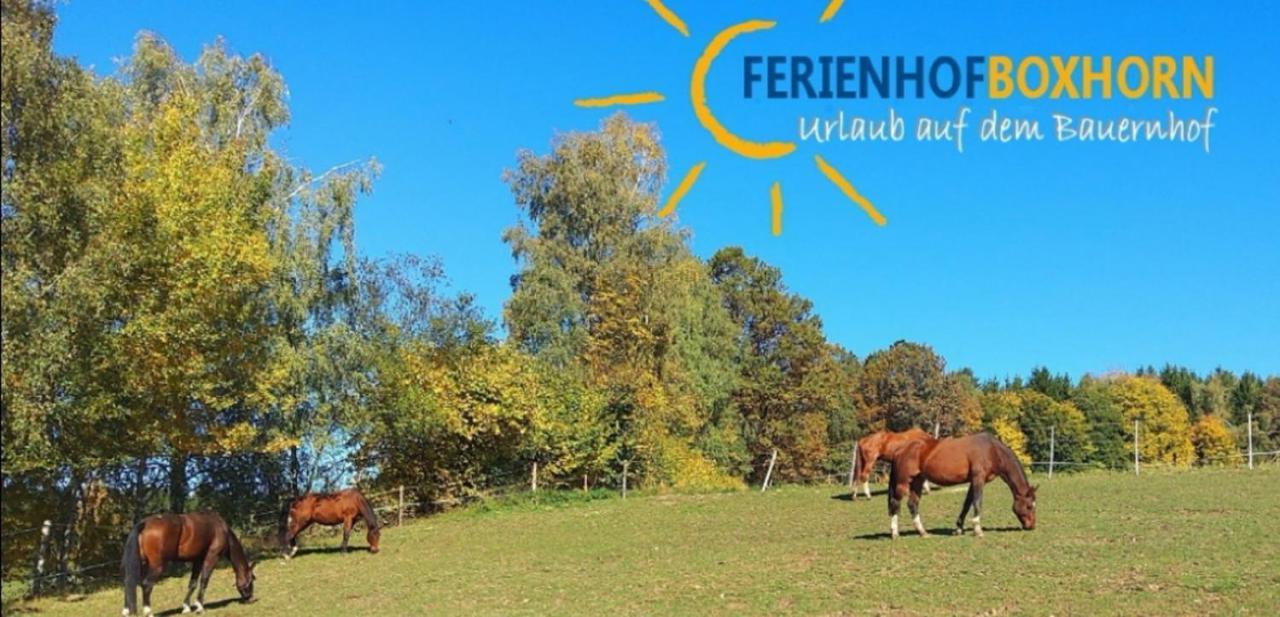 Woferlhof, Ferienhof Boxhorn Böbrach 外观 照片