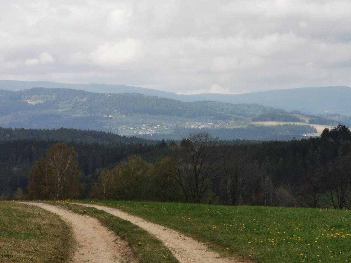 Woferlhof, Ferienhof Boxhorn Böbrach 外观 照片